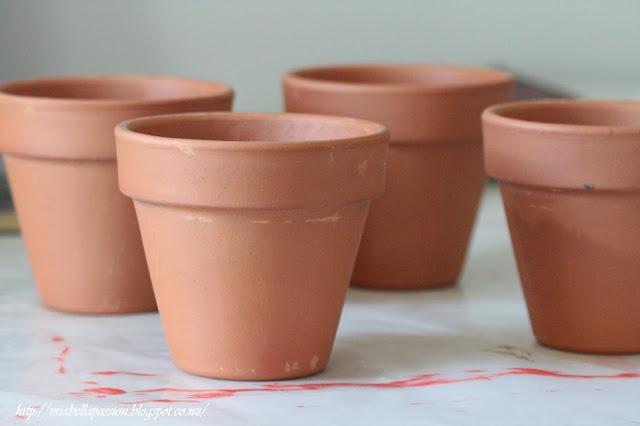 Picture or Video 983.JPG