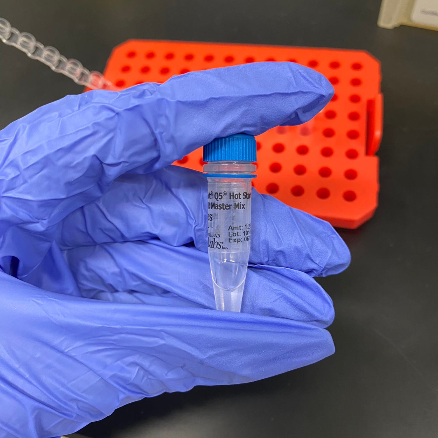 Polymerase mastermix.png