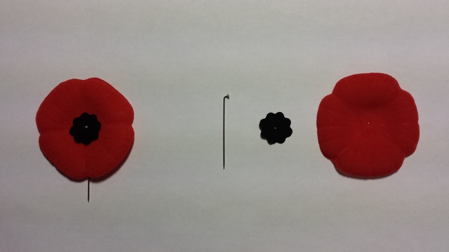 Poppy Pin - Disassembled.jpg
