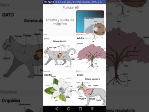 Puzzle bot&amp;aacute;nica y animales - Aplicaci&amp;oacute;n  primera versi&amp;oacute;n