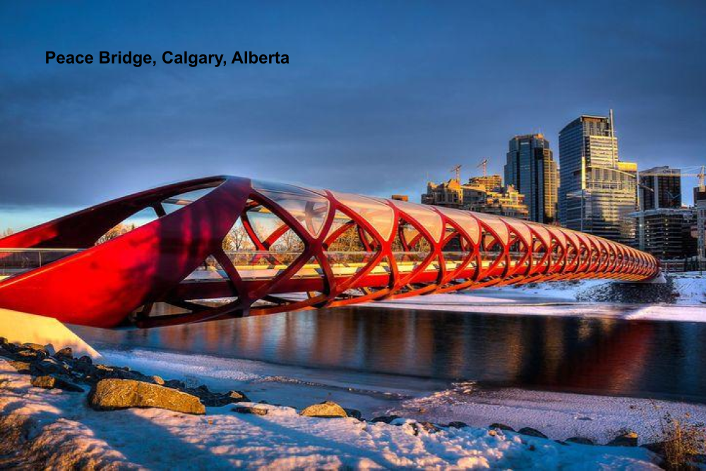 Ravine bridge contest (3).png