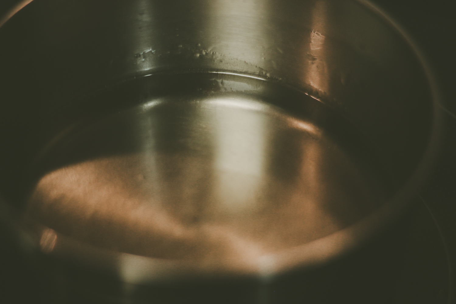 Redwood Canopy-5.jpg