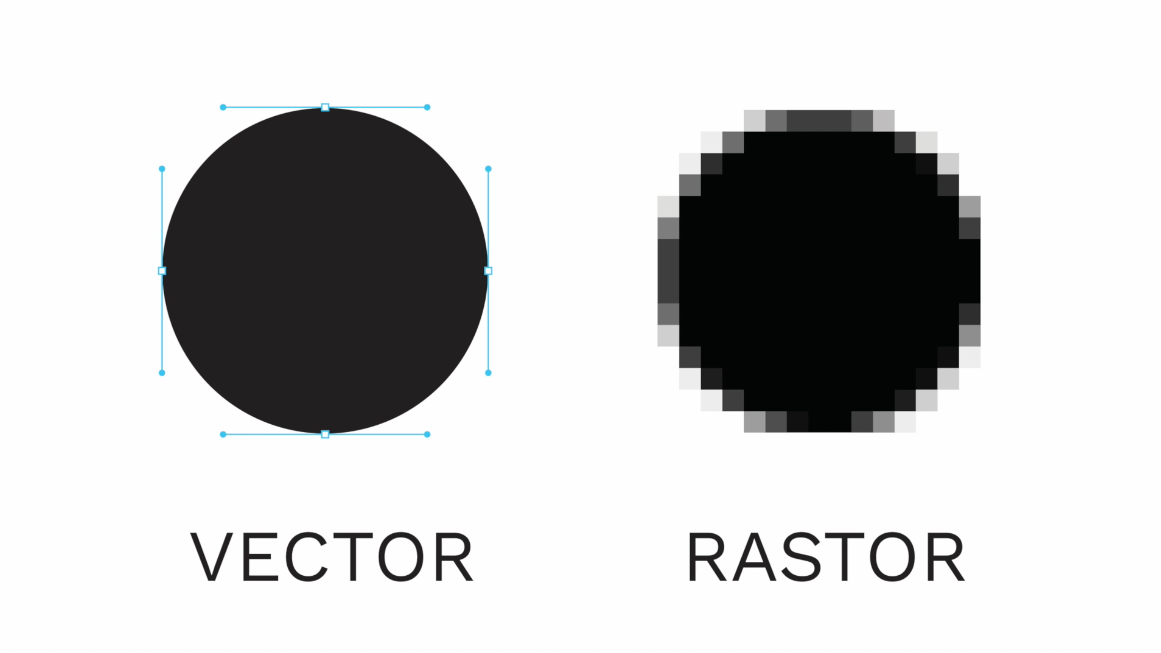 Screen Shot 2020-05-04 at 12.35.50 PM.png