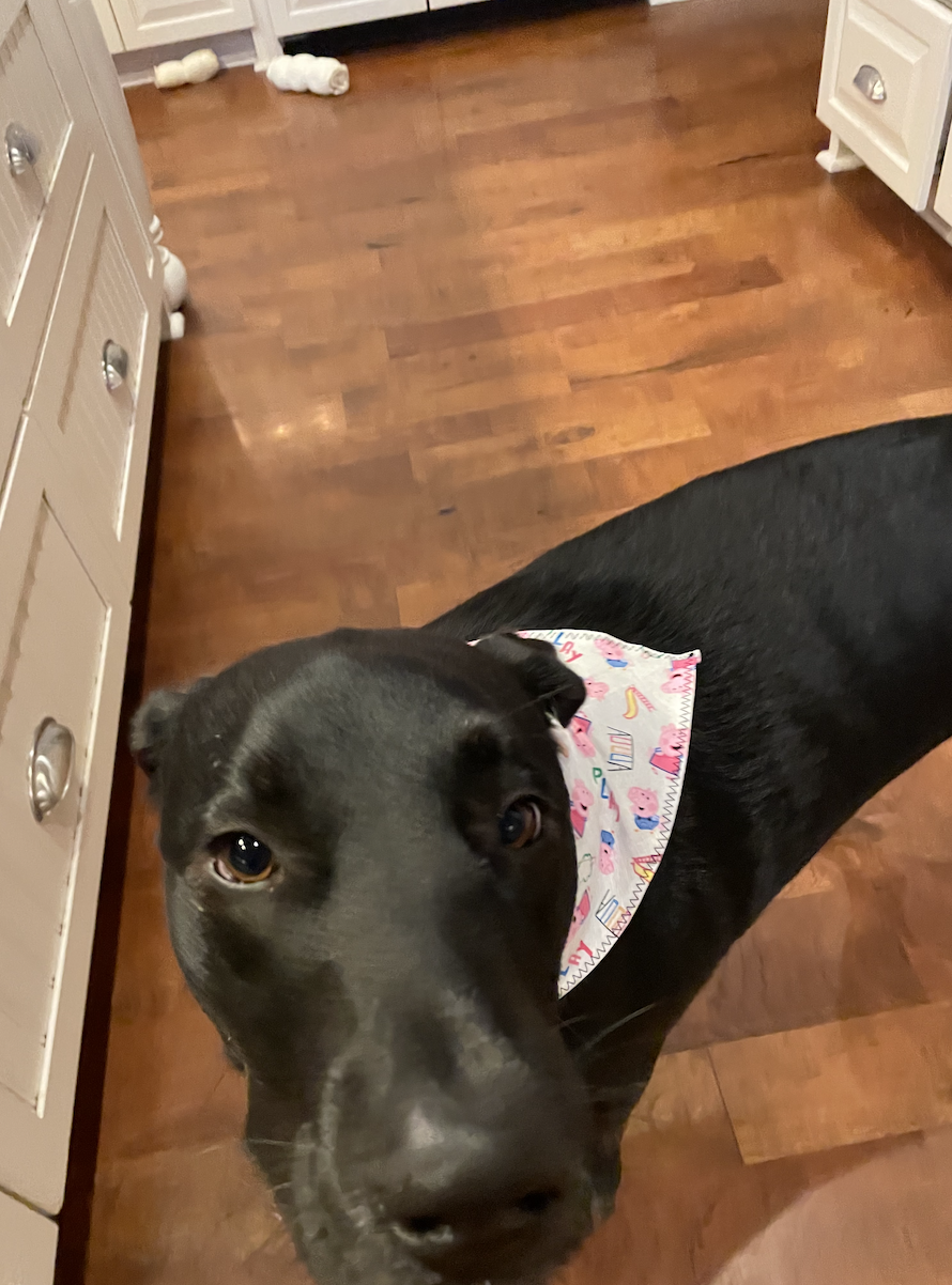 Screen Shot 2021-02-28 at 7.26.12 PM.png