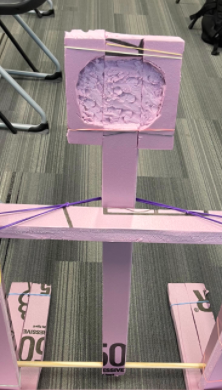 Screen Shot 2021-03-29 at 12.43.50 PM.png