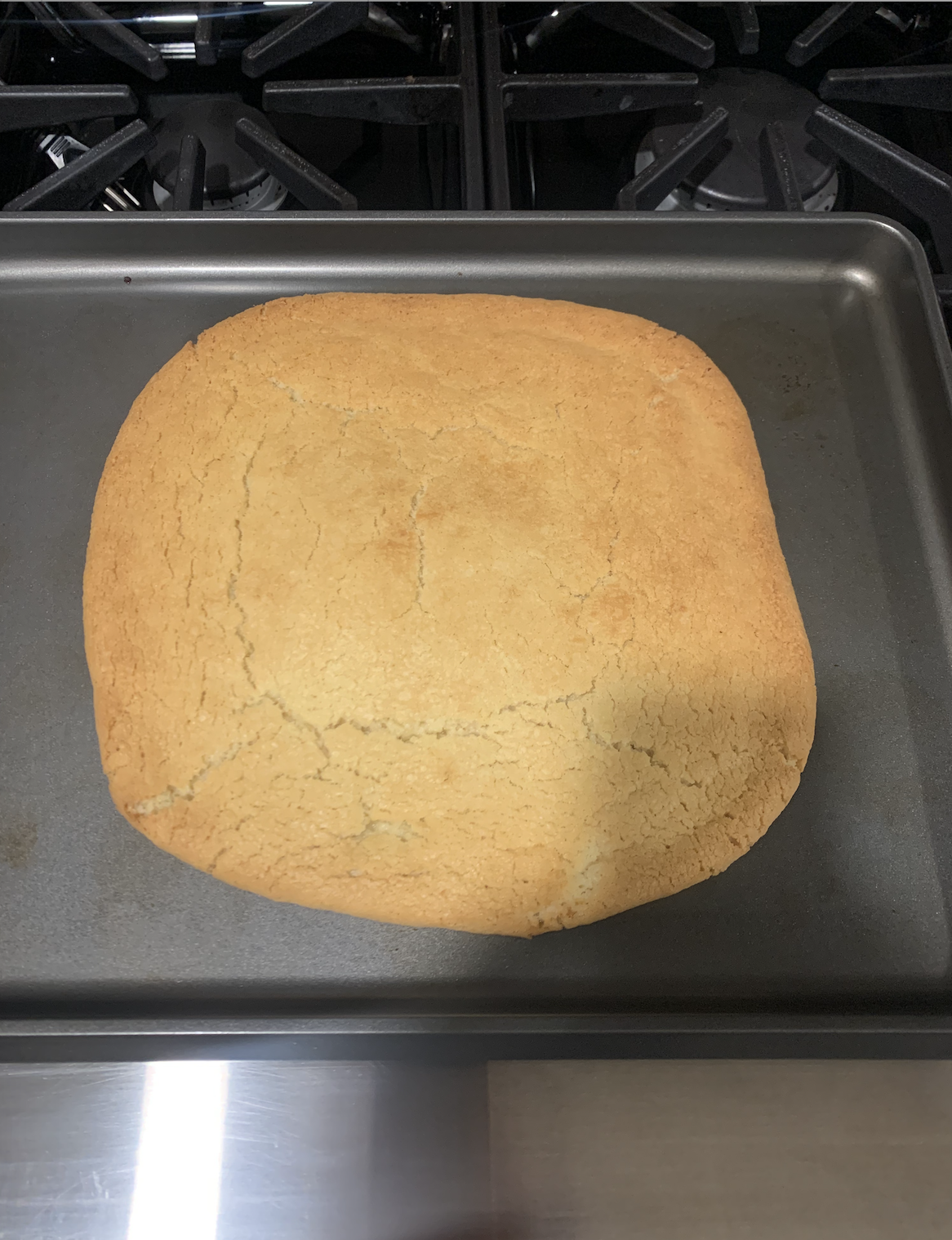 Screen Shot 2021-11-23 at 10.31.09 PM.png