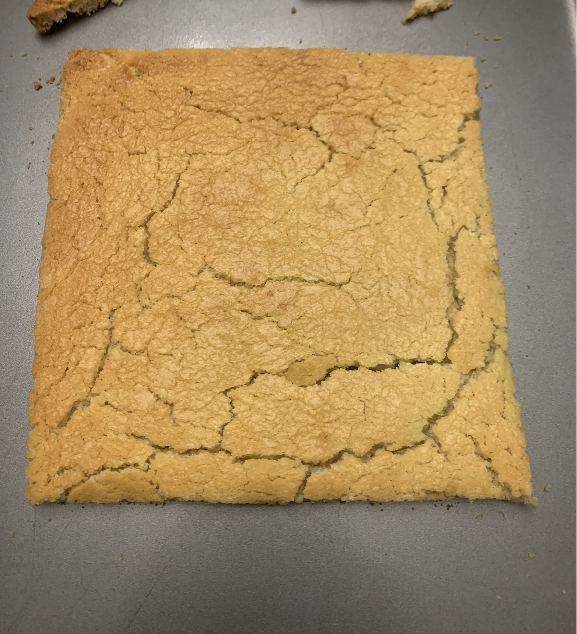 Screen Shot 2021-11-23 at 10.31.24 PM.png