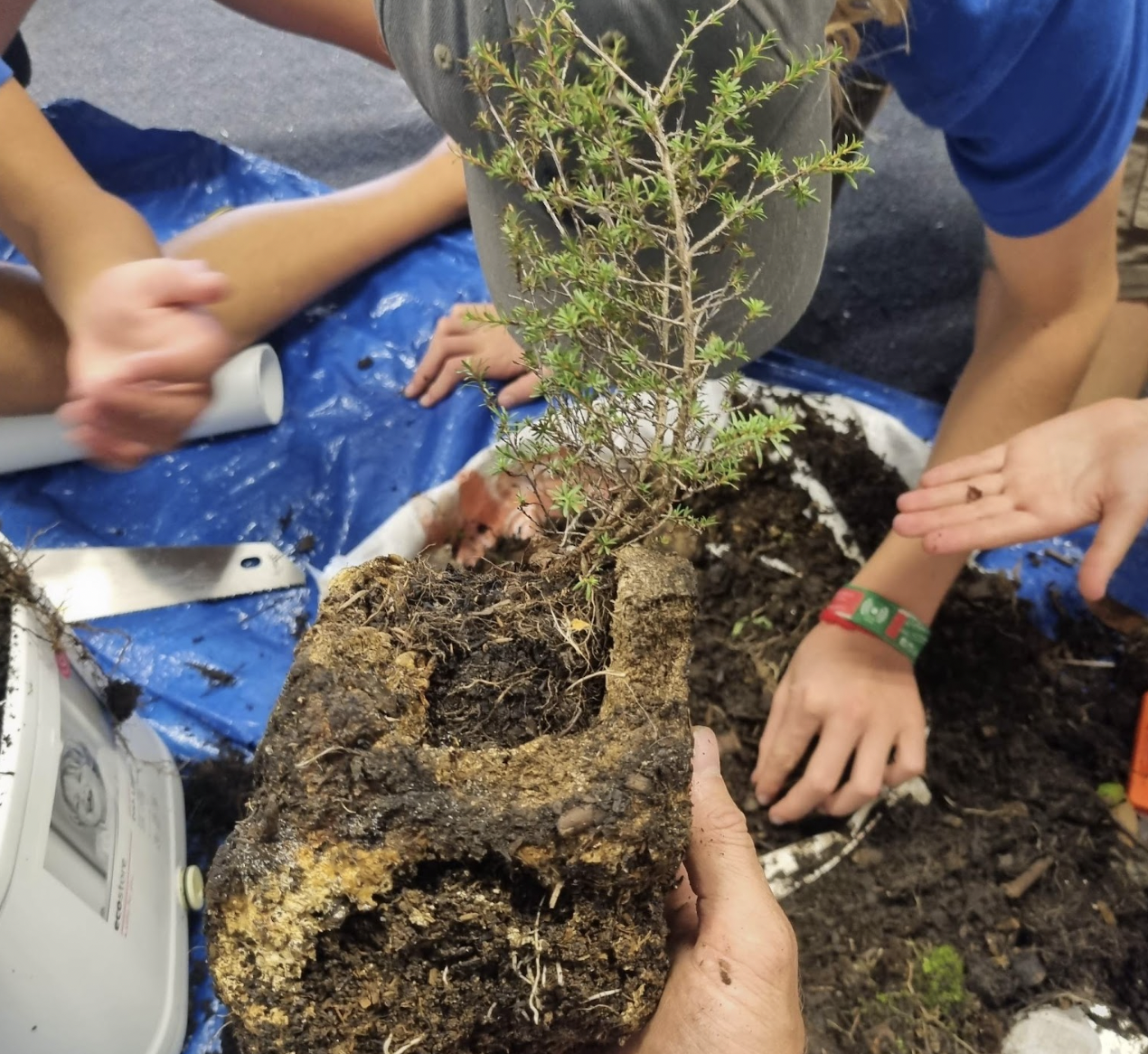 Screen Shot 2023-04-04 at 11.55.12 AM.png