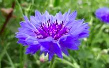 Screen Shot 2023-06-19 at 6.22.08 PM.png