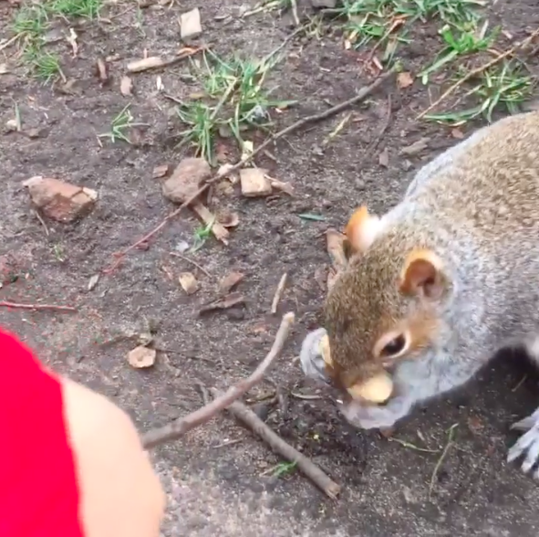 Screenshot 2020-06-20 at 20.22.20.png