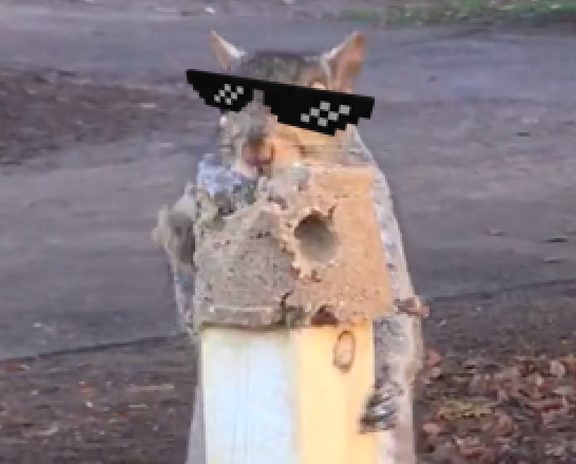 Screenshot 2020-06-20 at 22.00.27.png