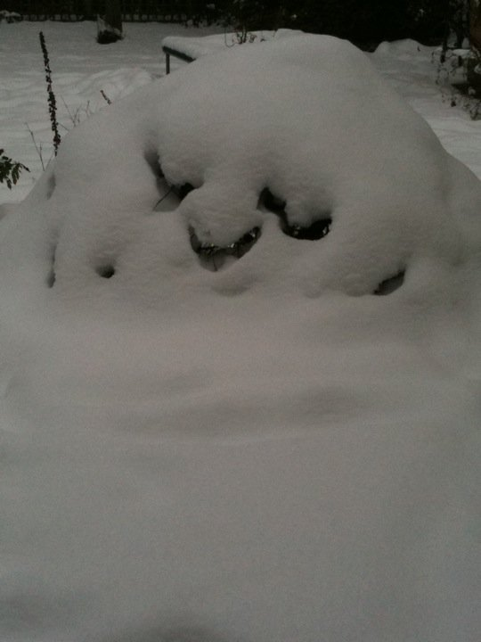 Snow Ghost.bmp