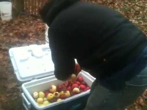 Stark Apple Press #1