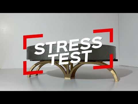 Stress Testing Wood Bridge