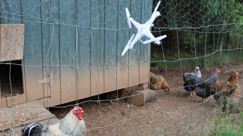 Syma-X5C-chickens-1024x576.jpg