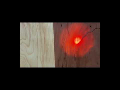 Translucent Wood Panels