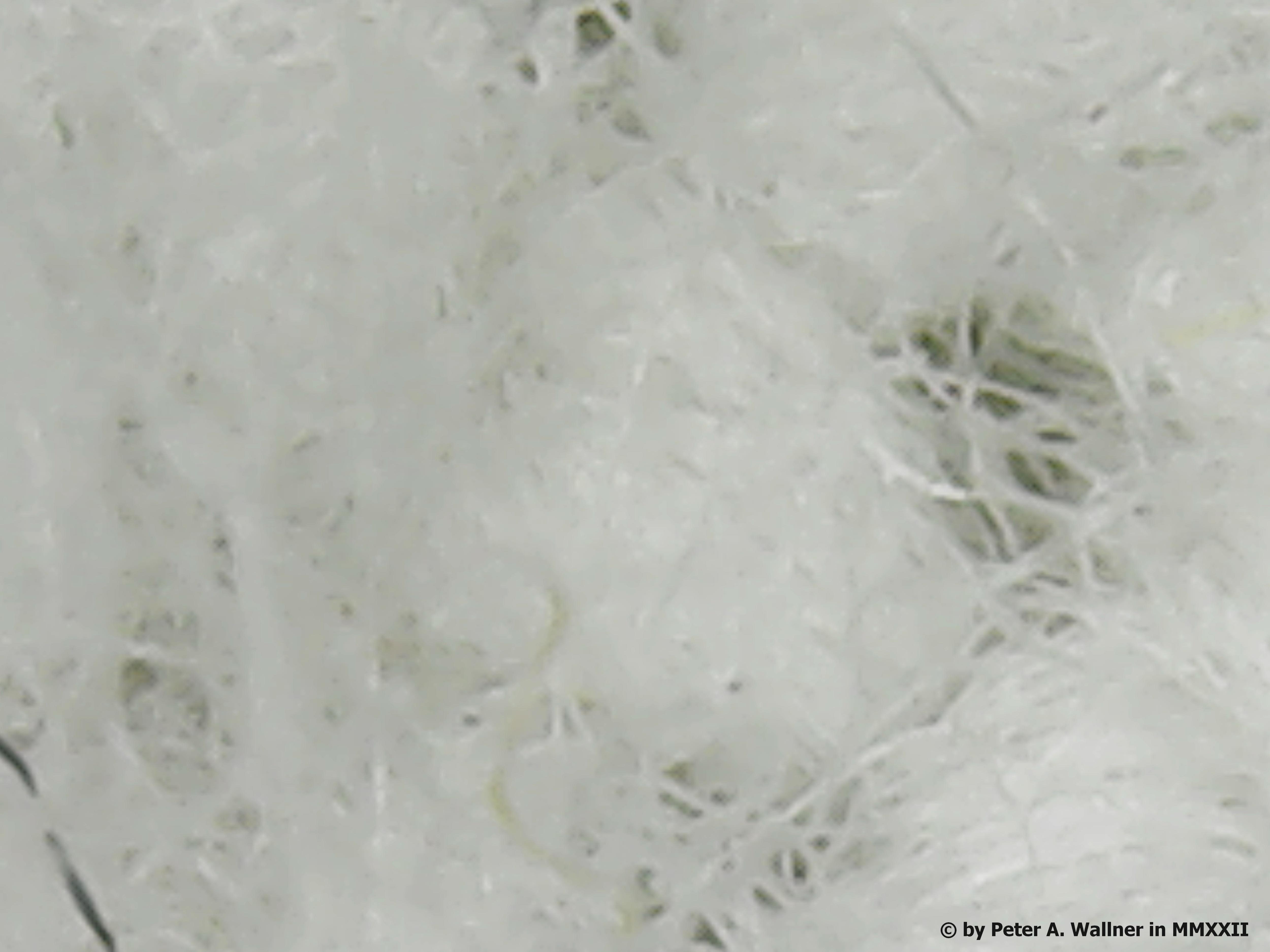 Tue Feb 01 19-31-00.jpg