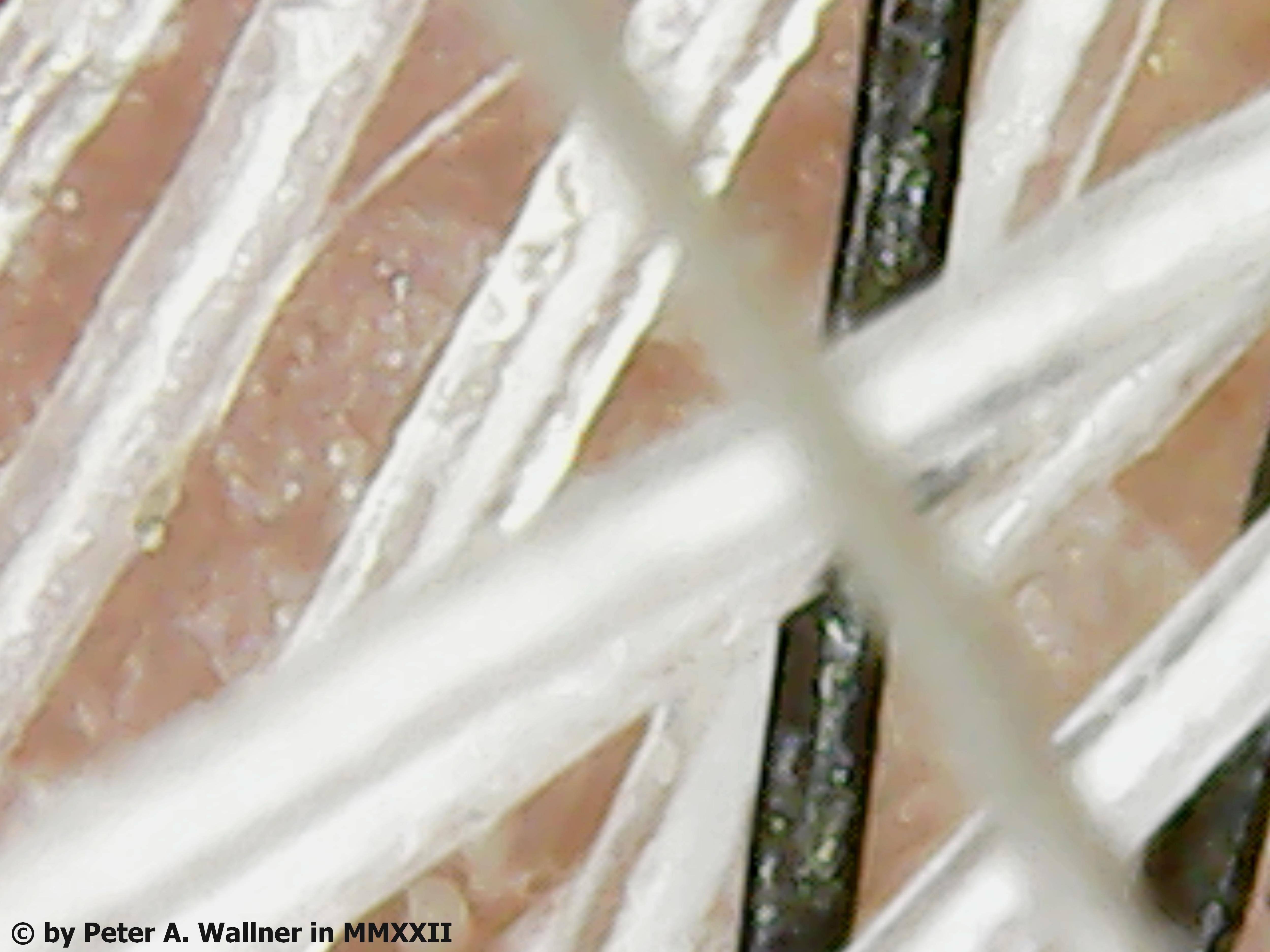 Tue Feb 01 19-37-20.jpg