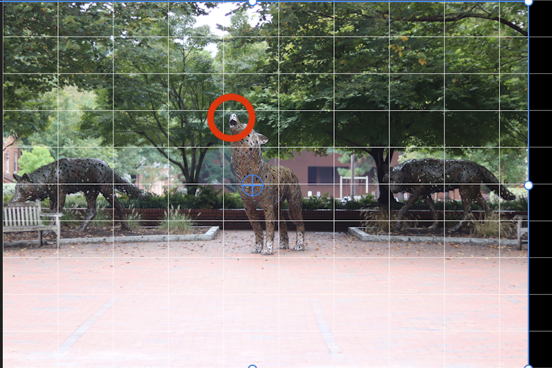 Untitled_Artwork 2.png