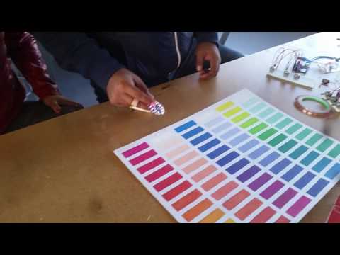 Usando el Escaner de Color