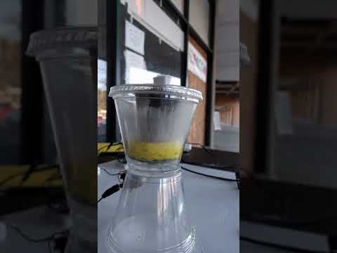 VID_20200125_161016.mp4