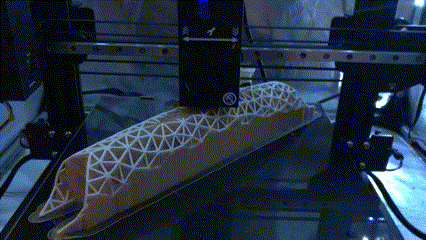 Voronoi Bridge Printing GIF.gif