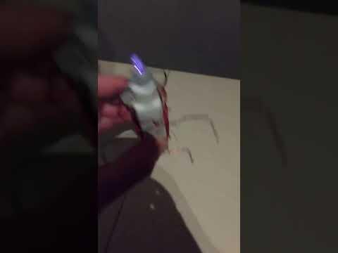 Waterfall Man Video 2, Indie Hostel, Jalan Besar, Singapore