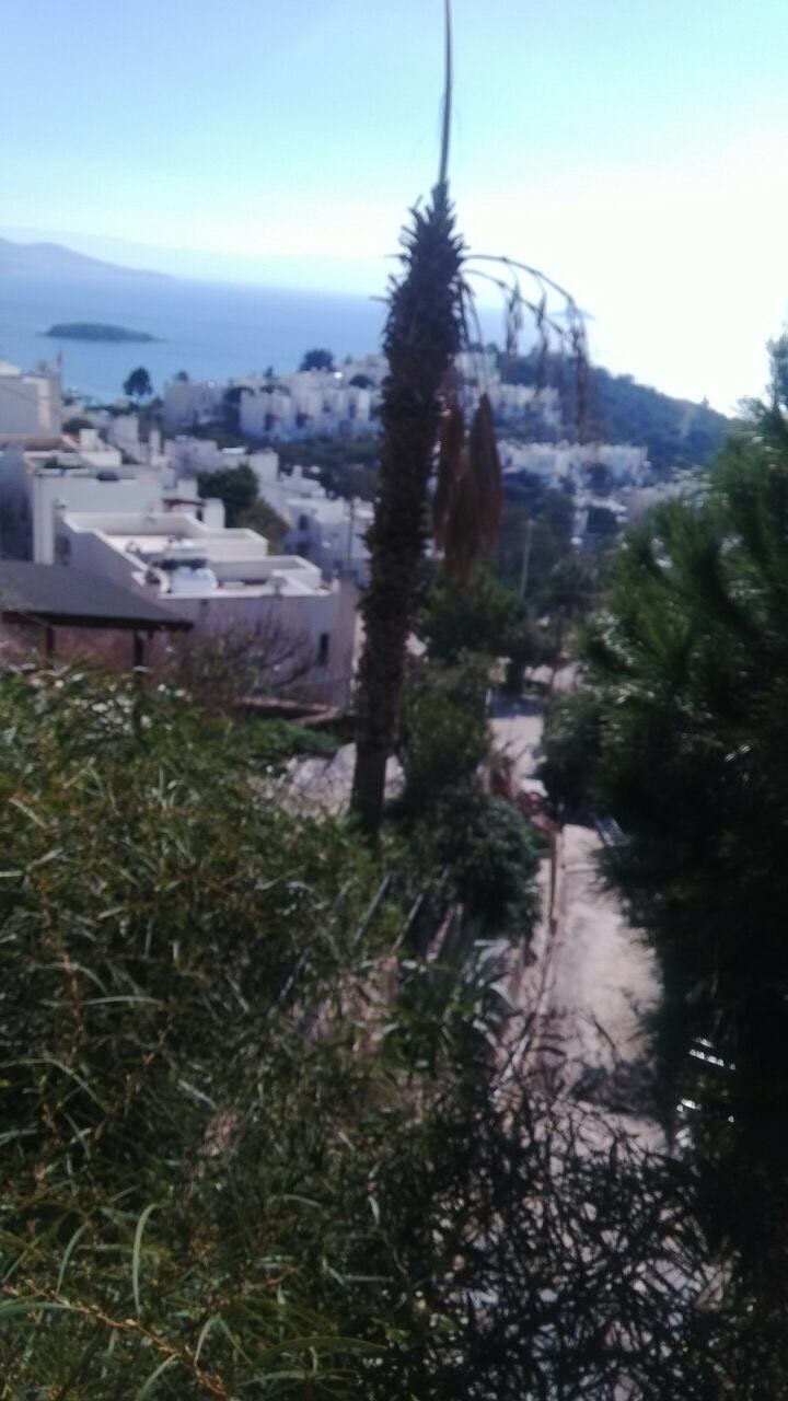 WhatsApp Image 2017-02-07 at 23.06.41.jpeg