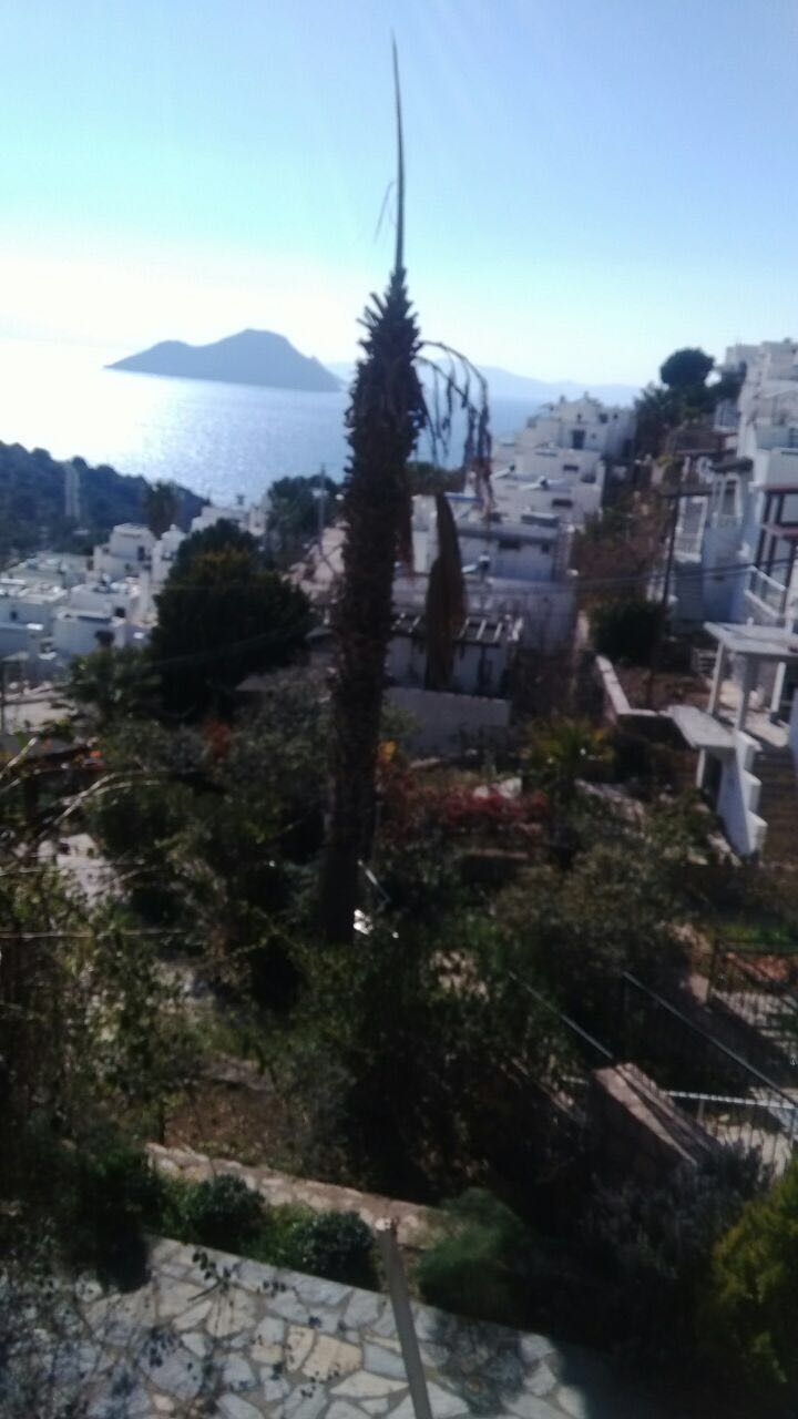 WhatsApp Image 2017-02-07 at 23.06.47.jpeg