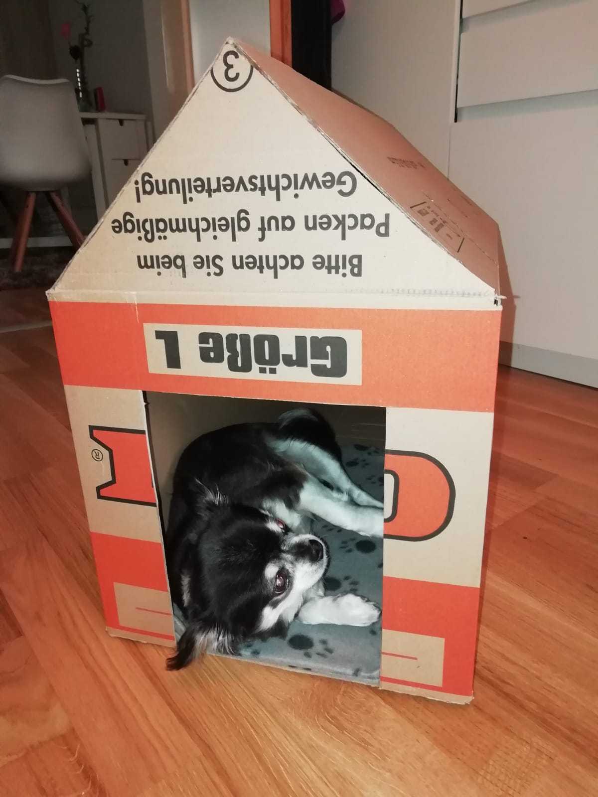 WhatsApp Image 2020-05-23 at 16.44.06.jpeg