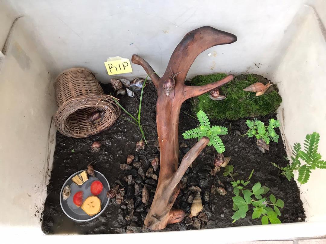 WhatsApp Image 2020-06-17 at 2.06.52 AM.jpeg