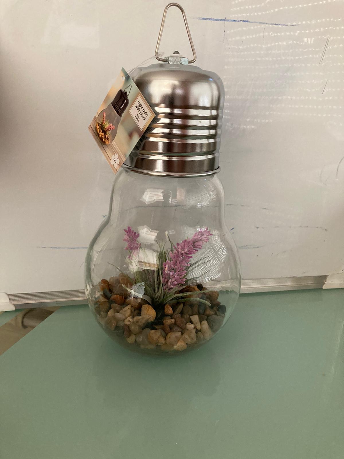 WhatsApp Image 2020-08-01 at 17.11.37.jpeg