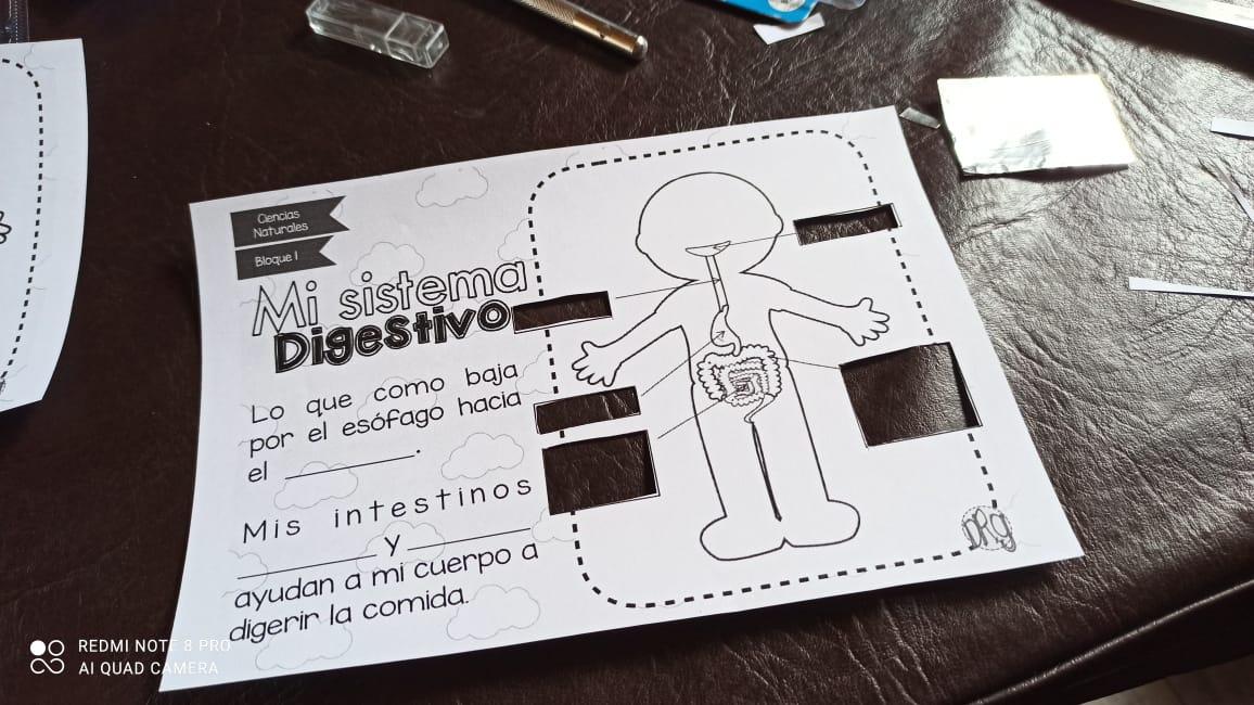 WhatsApp Image 2020-10-23 at 19.55.52 (2).jpeg