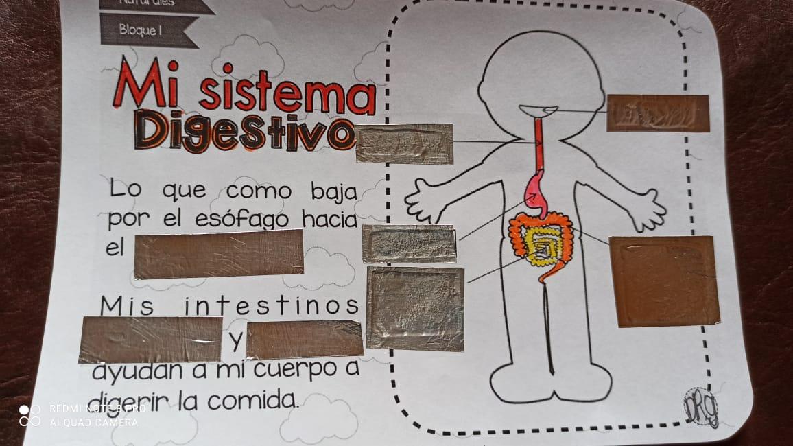 WhatsApp Image 2020-10-23 at 19.55.53 (2).jpeg