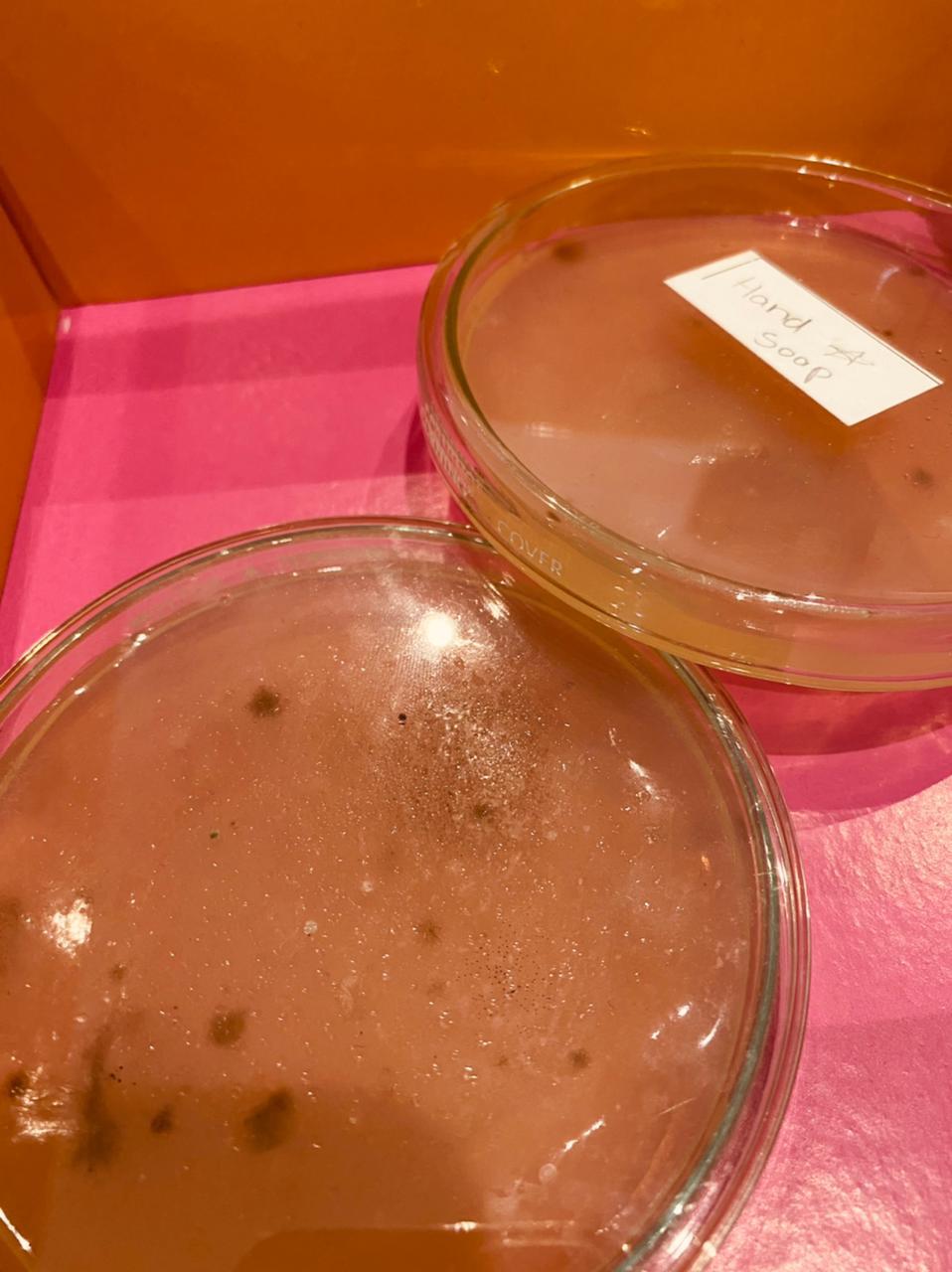 WhatsApp Image 2021-03-08 at 1.37.23 PM.jpeg