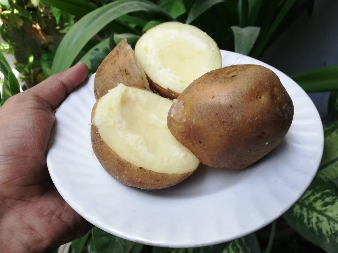 WhatsApp Image 2021-07-06 at 10.24.00 PM (1).jpeg