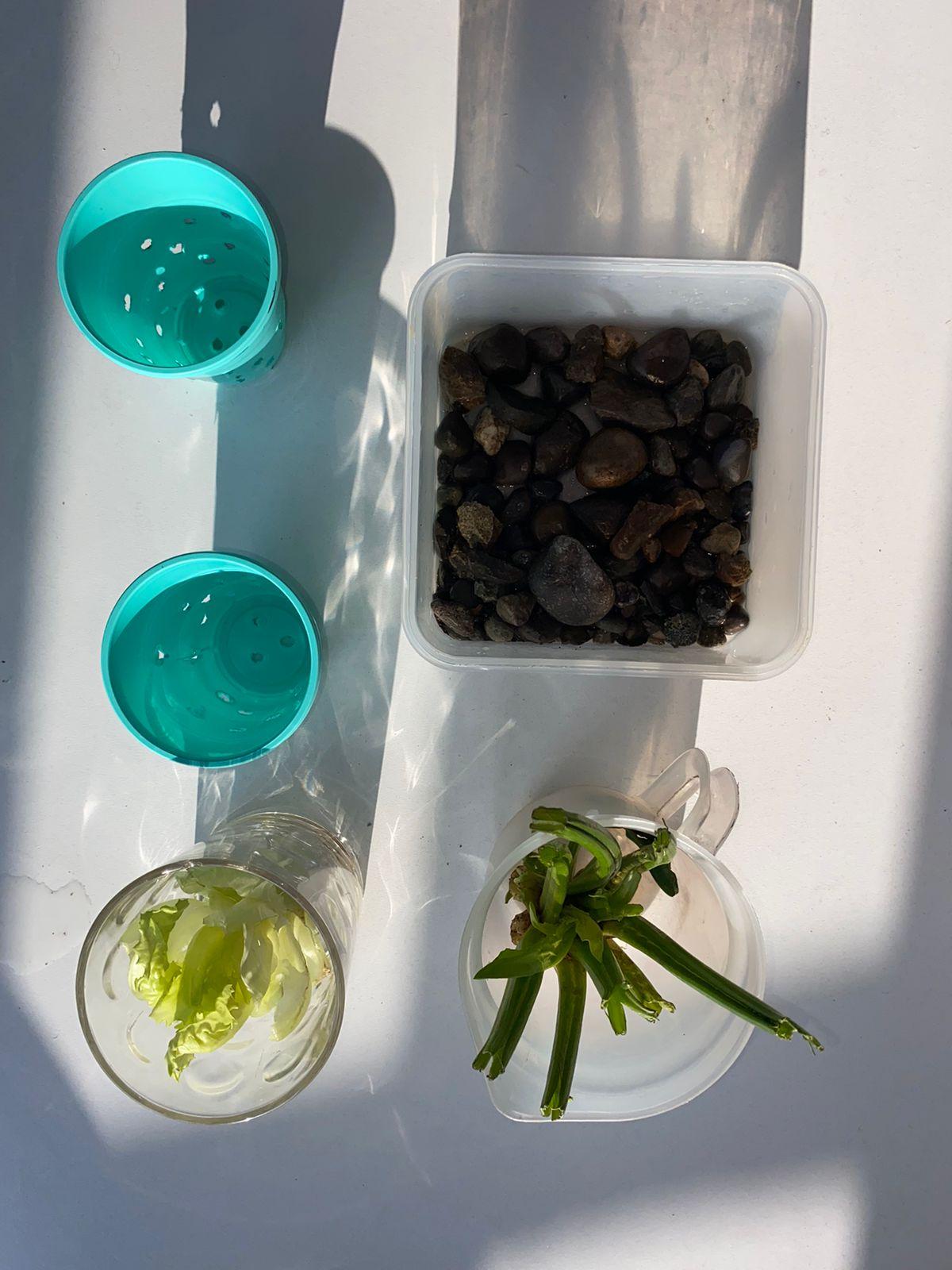 WhatsApp Image 2023-04-16 at 21.51.44 (1).jpeg