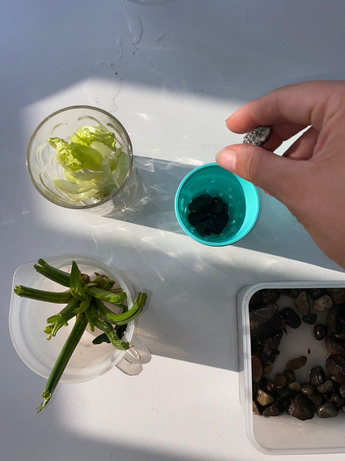 WhatsApp Image 2023-04-16 at 21.51.44.jpeg