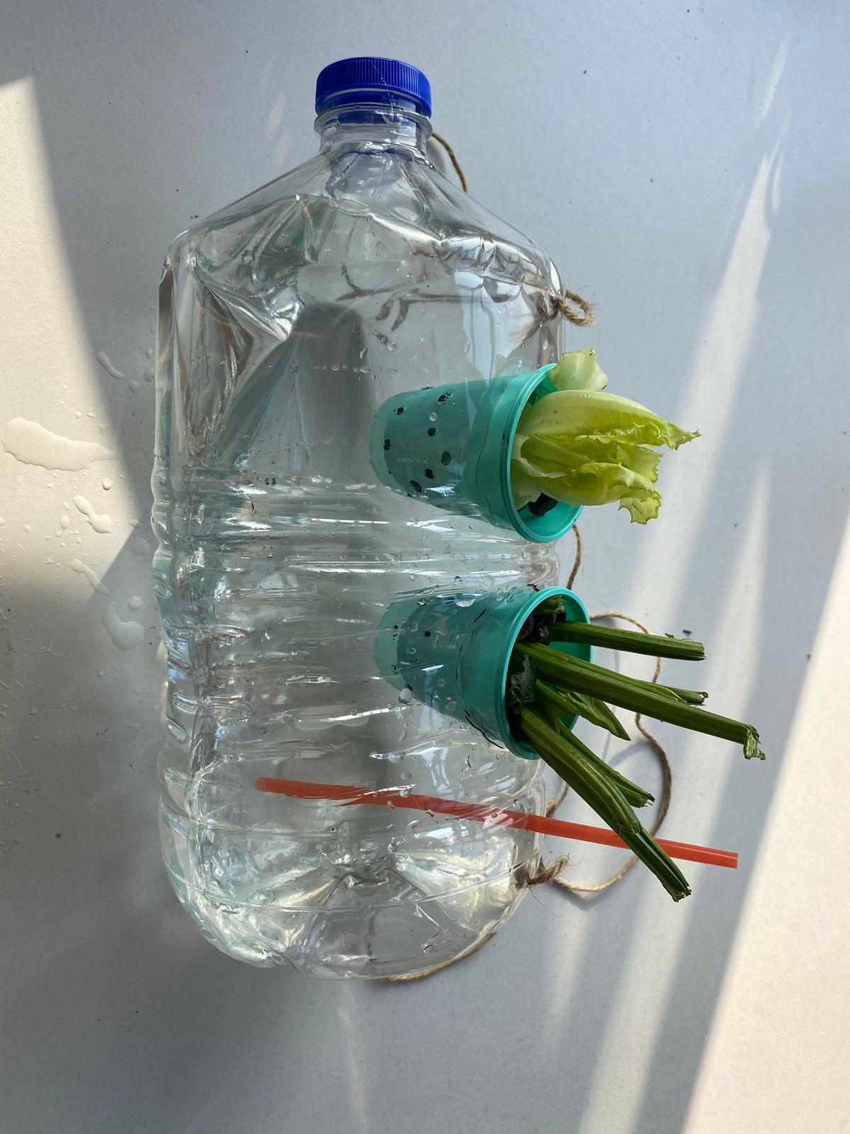 WhatsApp Image 2023-04-16 at 21.51.47.jpeg