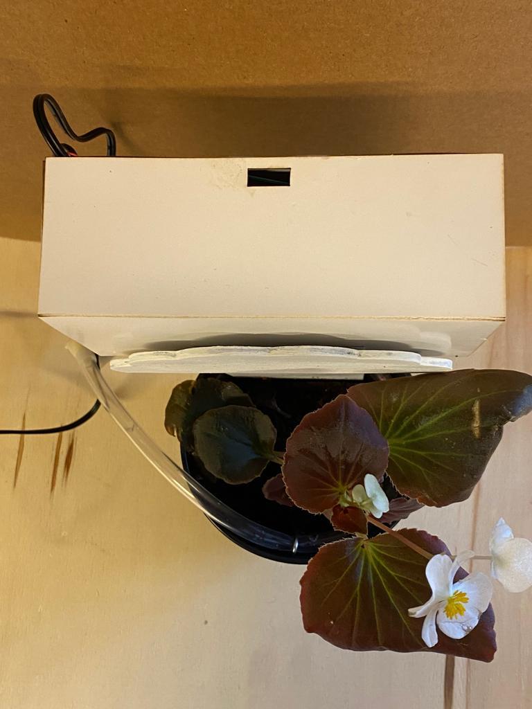 WhatsApp Image 2023-06-11 at 7.26.43 PM (2).jpeg