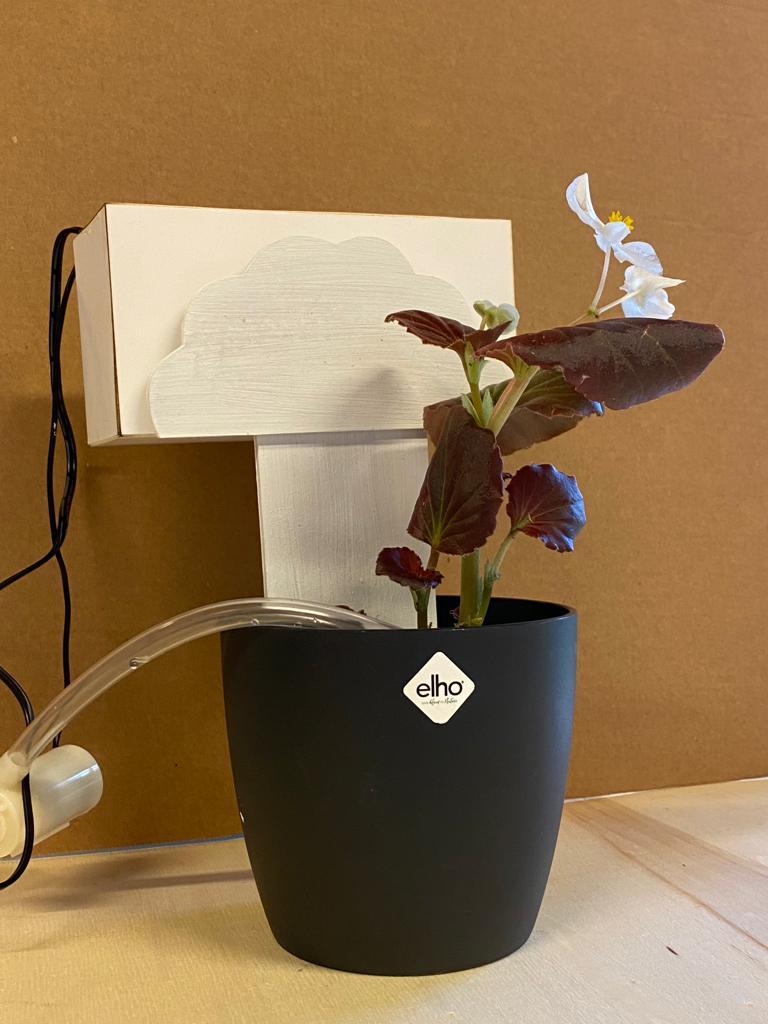 WhatsApp Image 2023-06-11 at 7.26.43 PM.jpeg