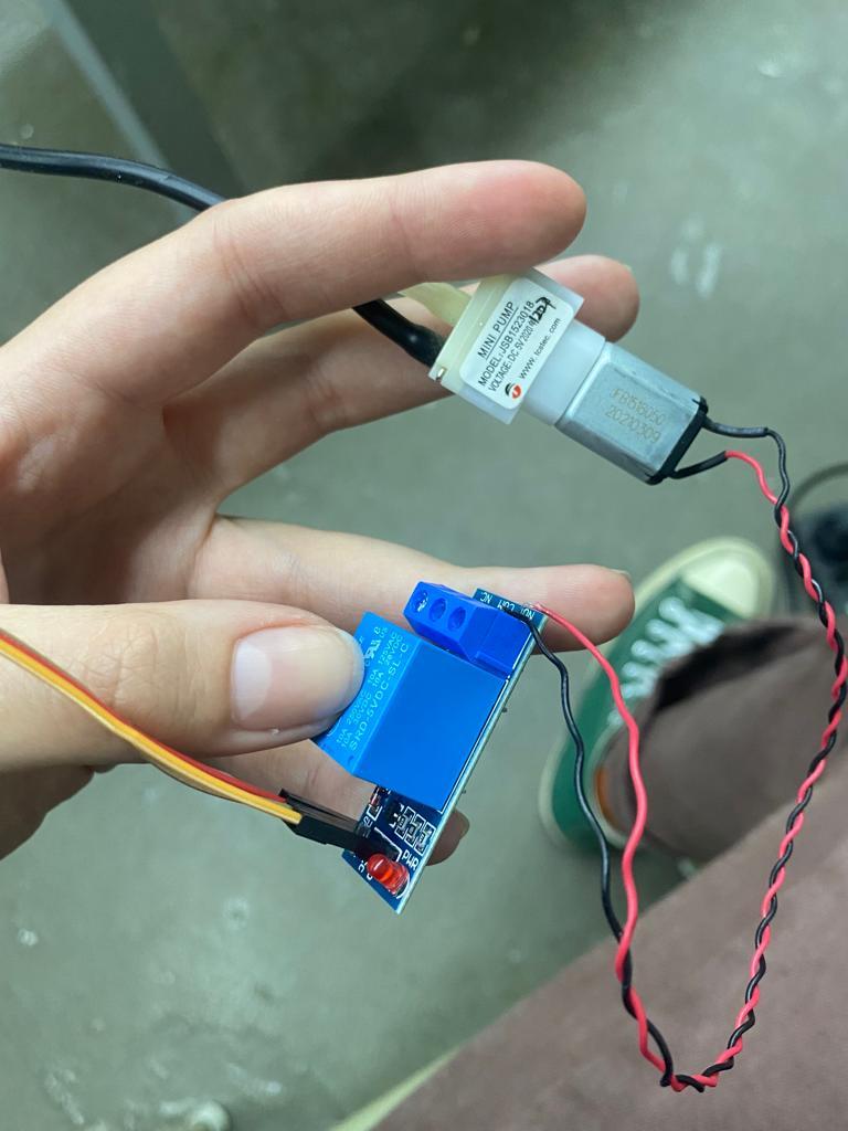 WhatsApp Image 2023-06-11 at 7.27.48 PM.jpeg