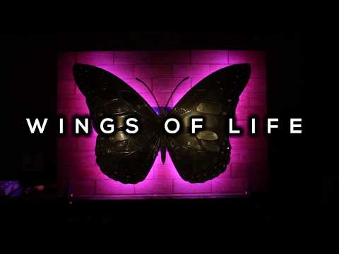 Wings of Life - Art Installation I Stop Motion