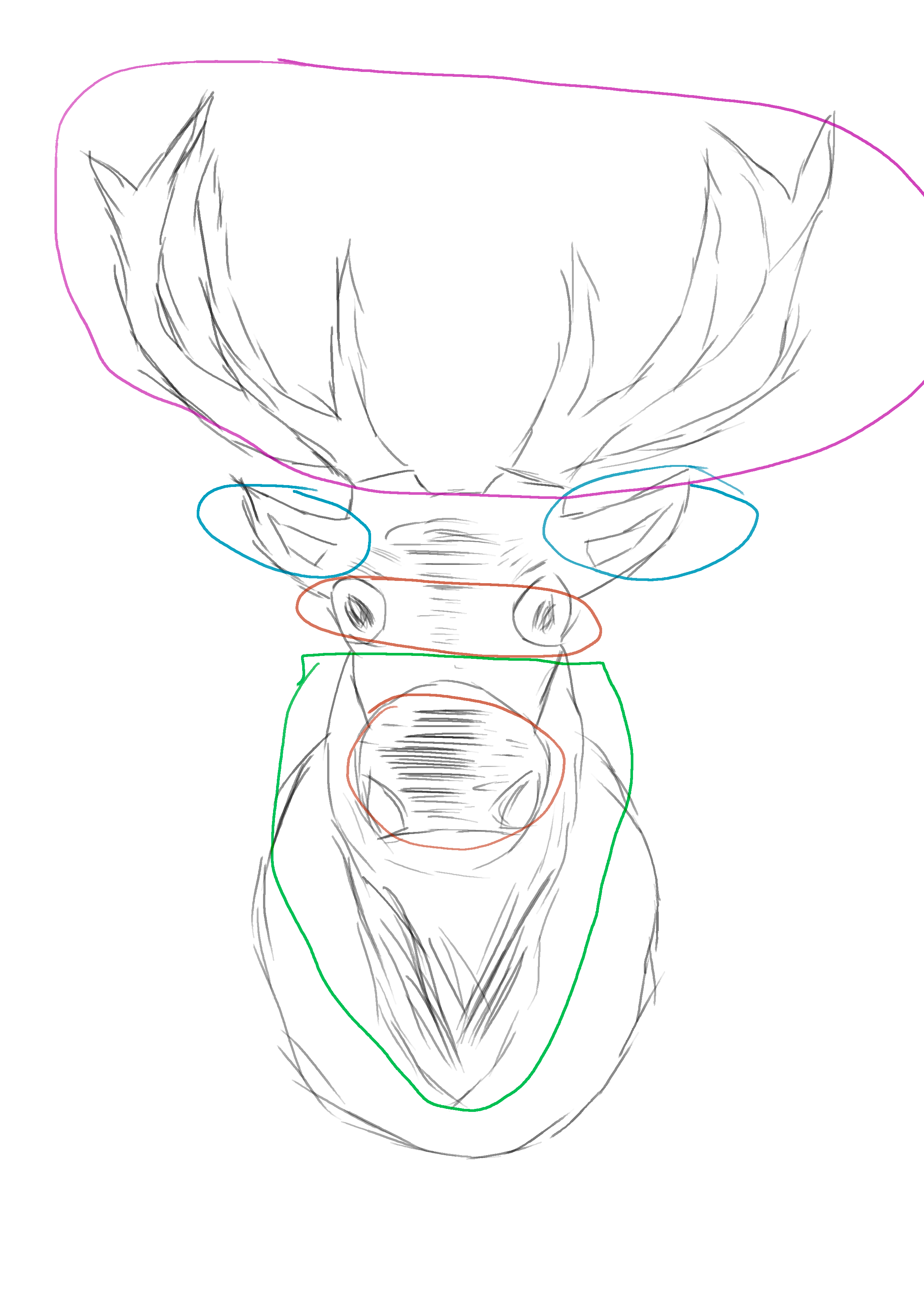 an&agrave;lisi digital.png