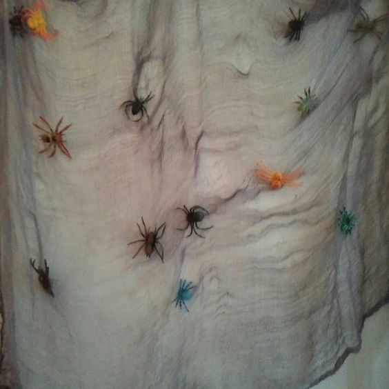 cheesecloth spider web.jpg