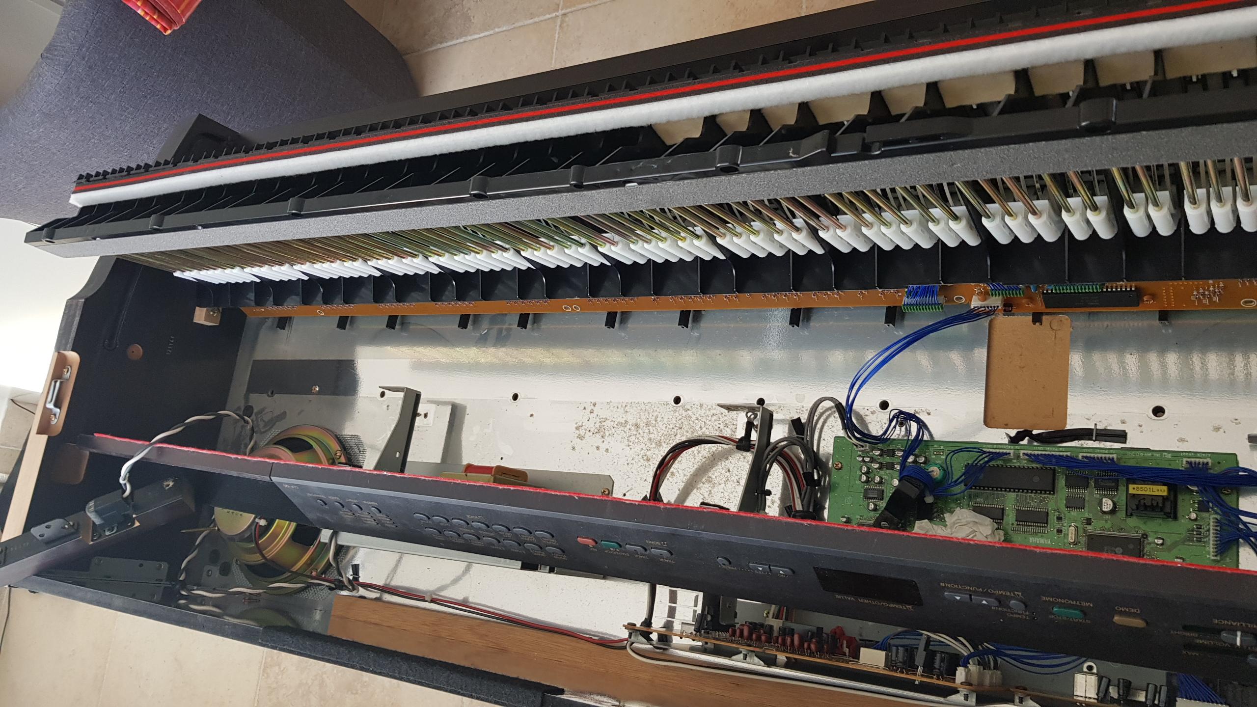 clavinova changement mousse clavier (19).jpg