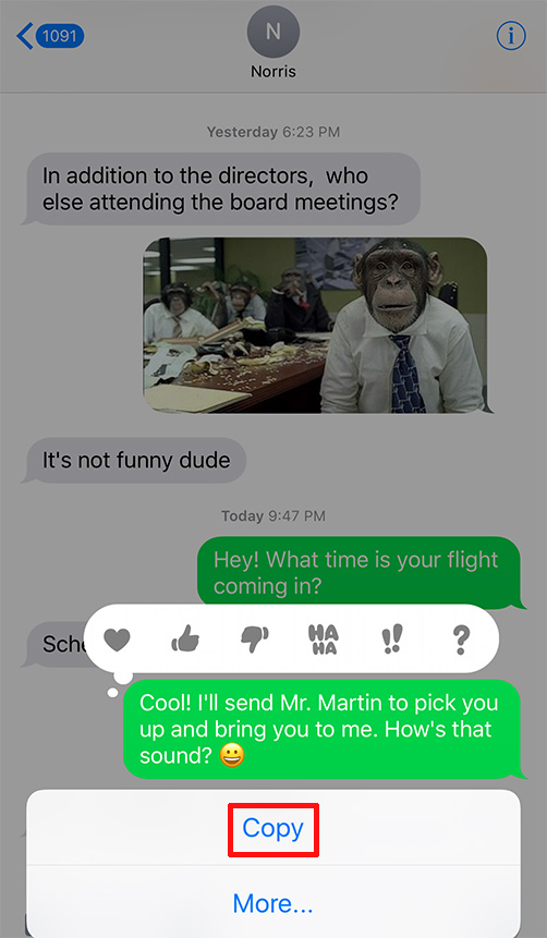 copy-your-iphone-message.jpg