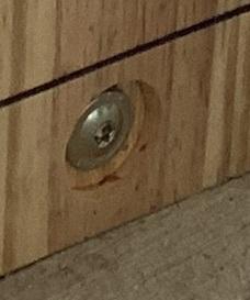 deck screw.jpg