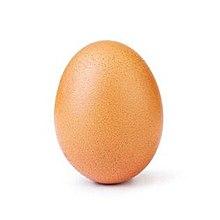 egg.jpg