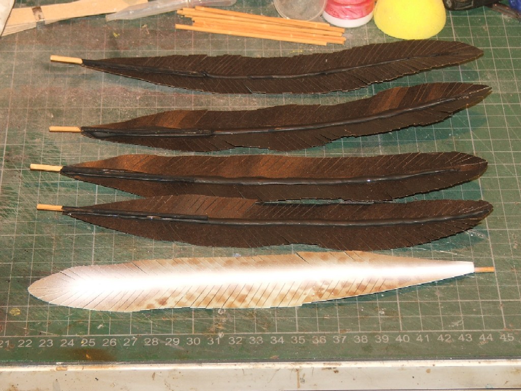 feather008.jpg